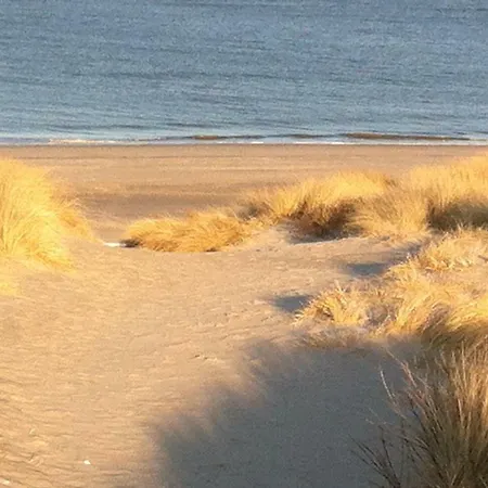 Austernperle Pensionat *